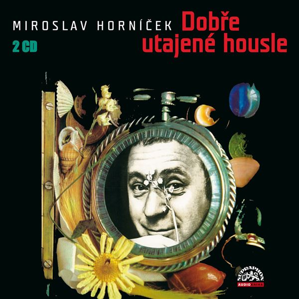 singular_bupabooks Dobře utajené housle - Miroslav Horníček