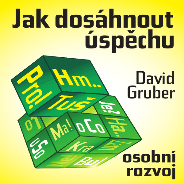 singular_bupabooks Co je to úspěch – a jak jej dosáhnout? - David Gruber