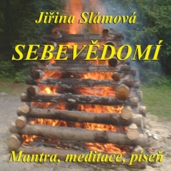 Sebevědomí