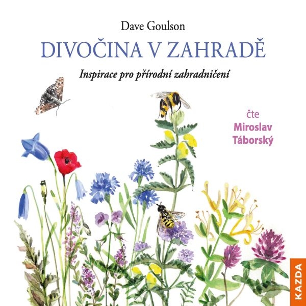 Divočina v zahradě