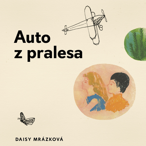 Auto z pralesa