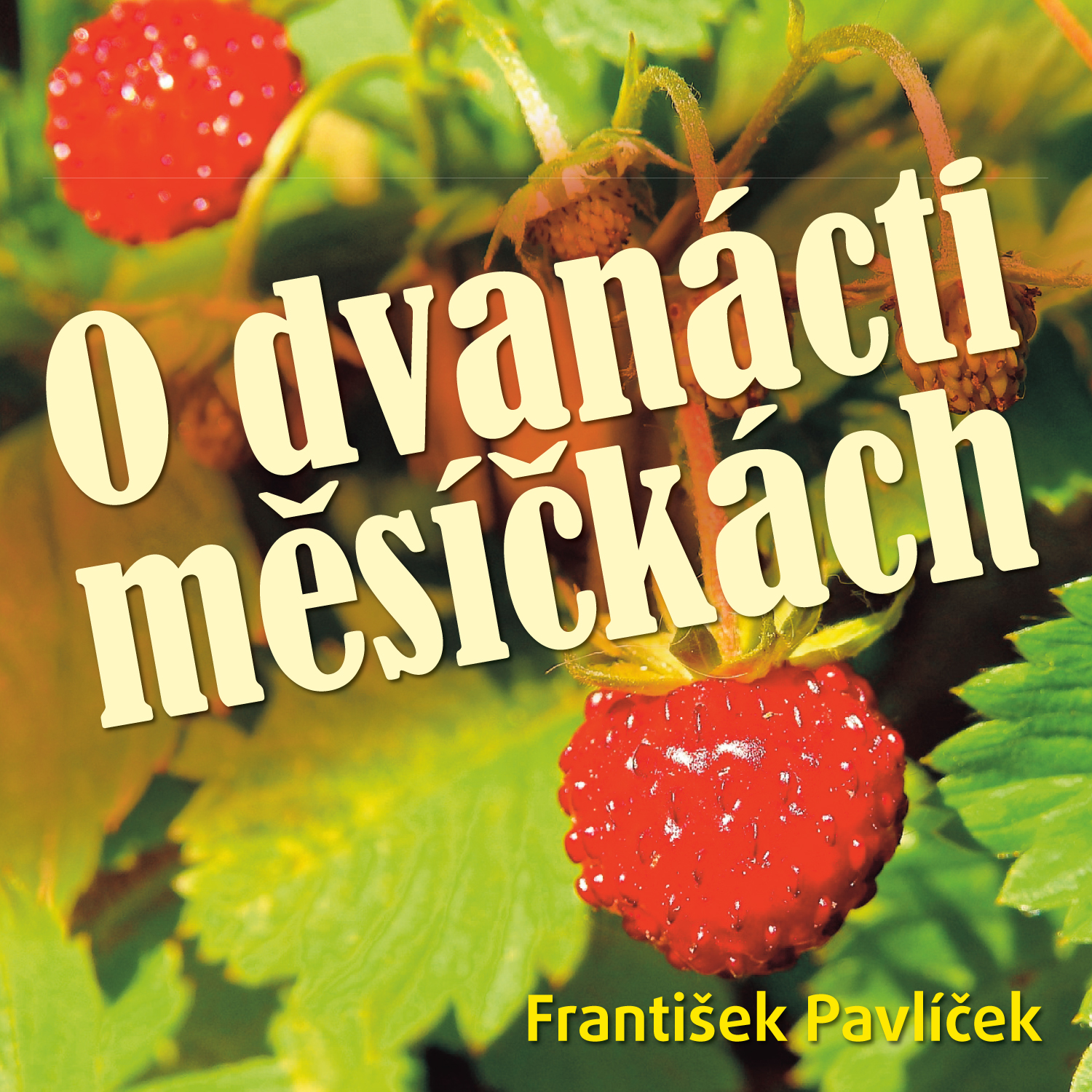 O dvanácti měsíčkách