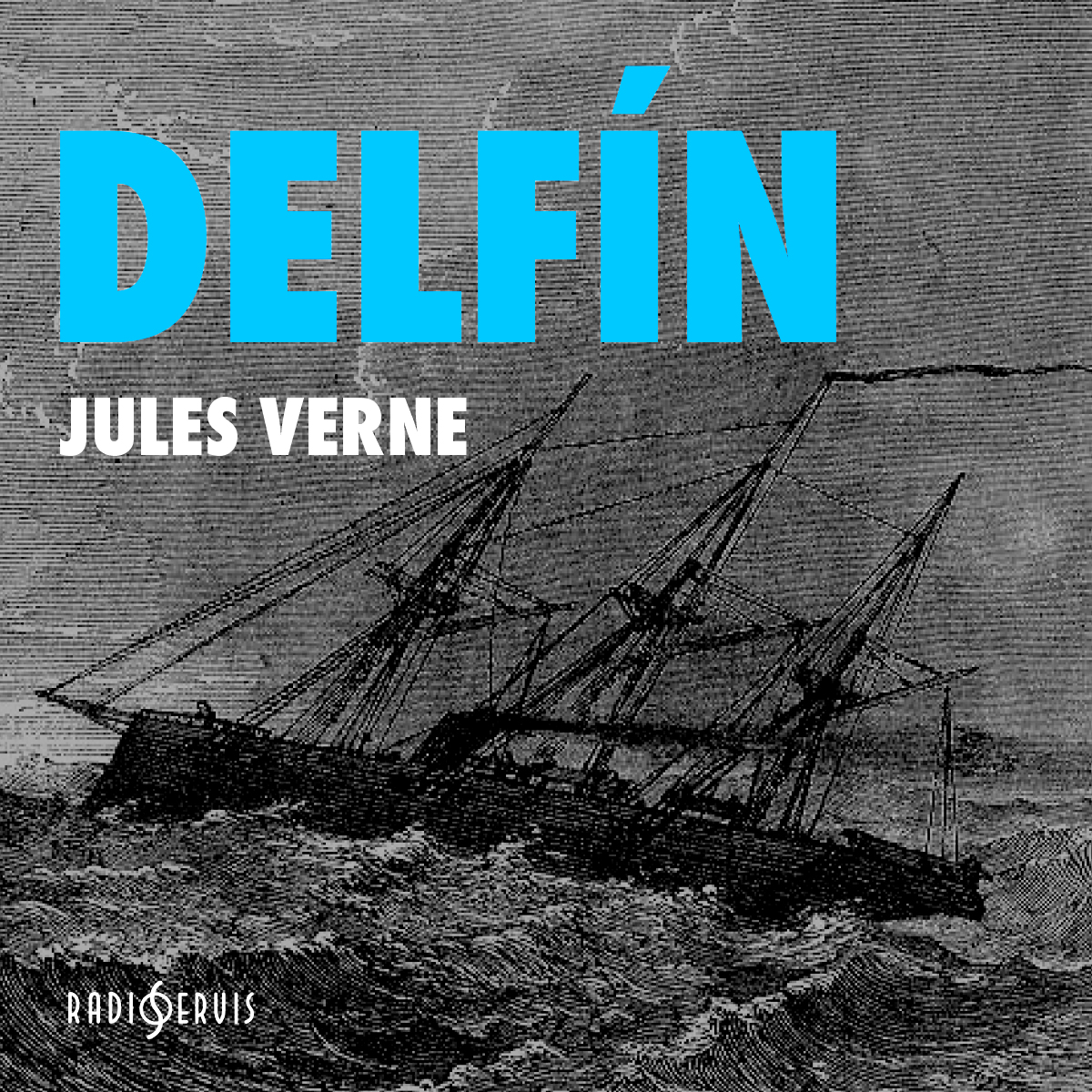 Delfín
