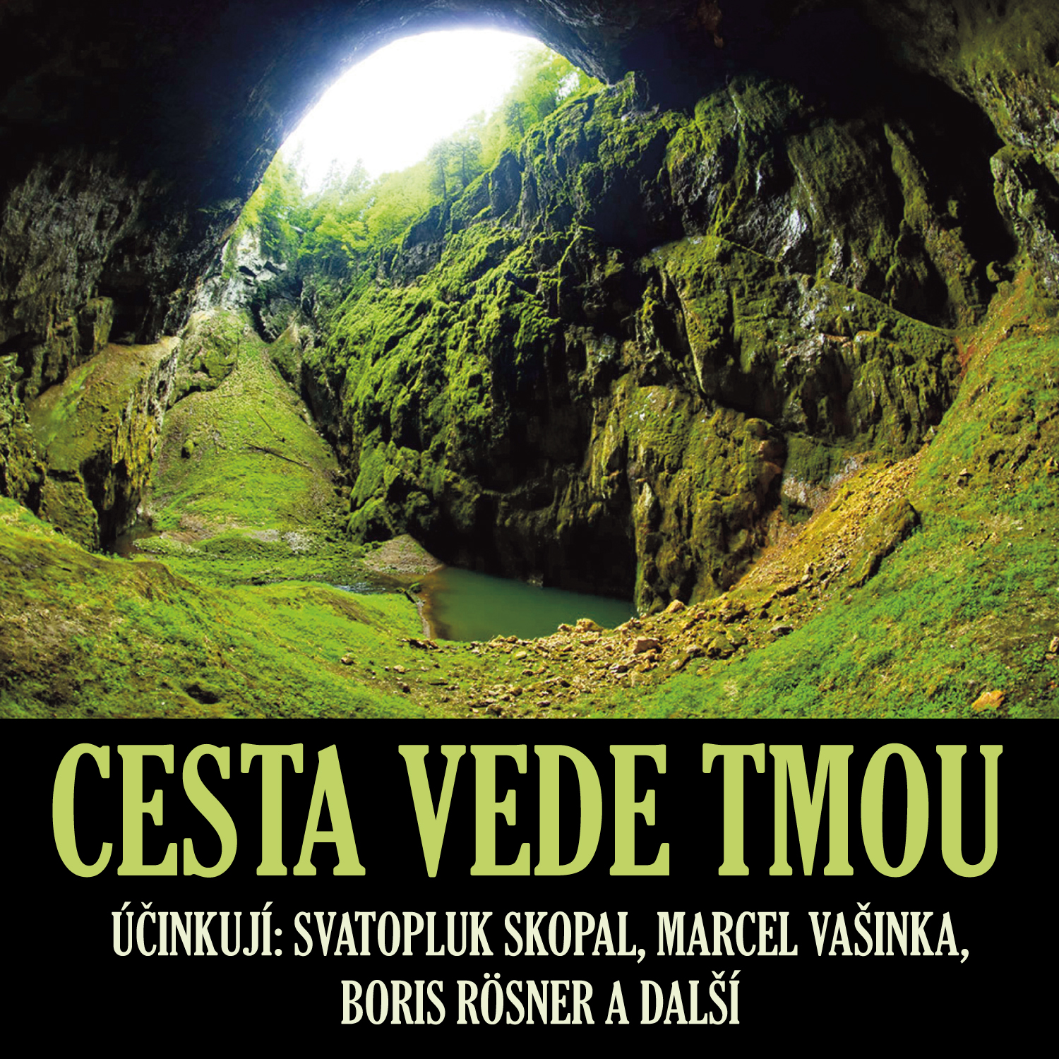 Cesta vede tmou
