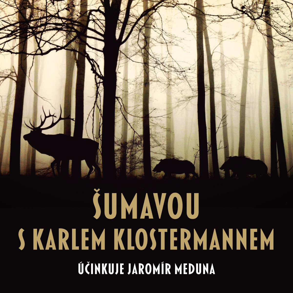 Šumavou s Karlem Klostermannem