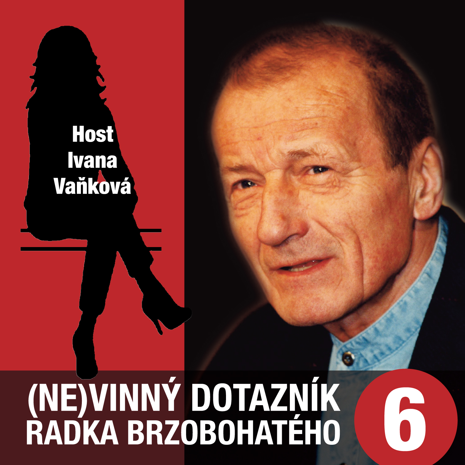 (Ne)vinný dotazník Radka Brzobohatého 6.