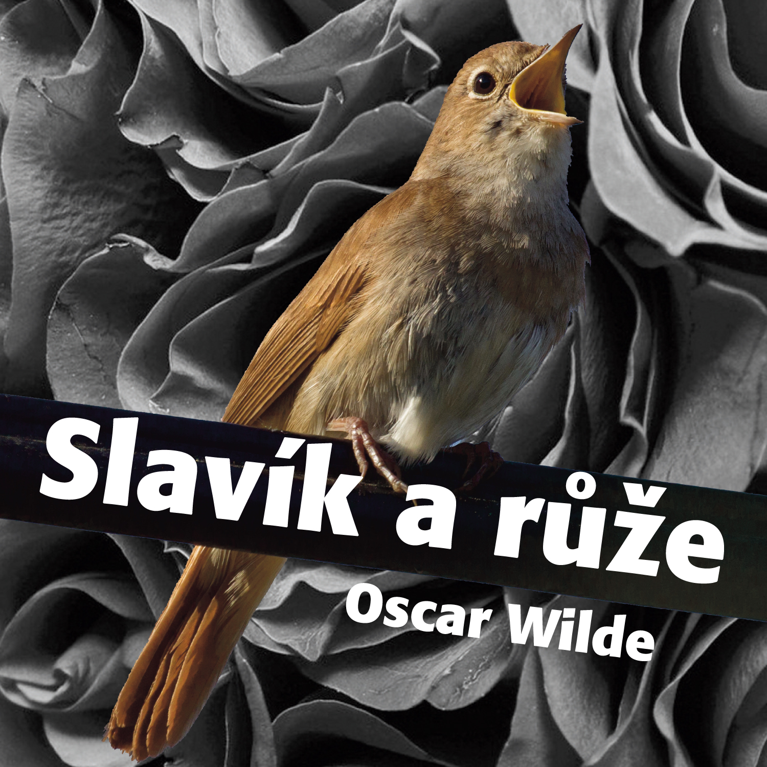 Slavík a růže