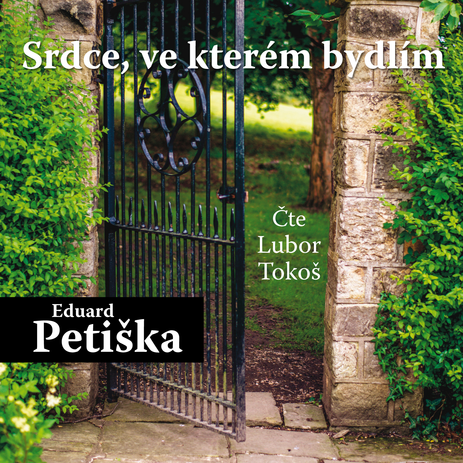 Srdce, ve kterém bydlím