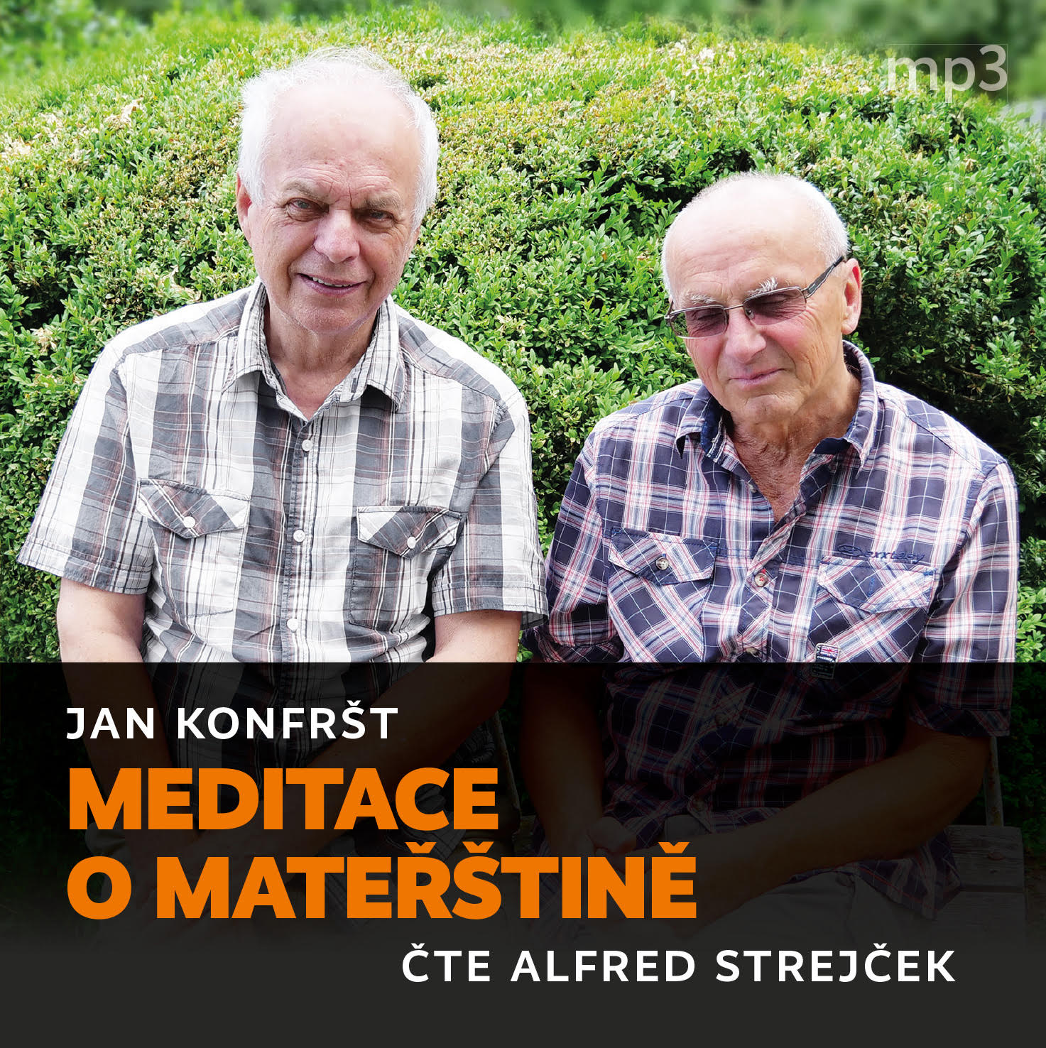 Meditace o mateřštině