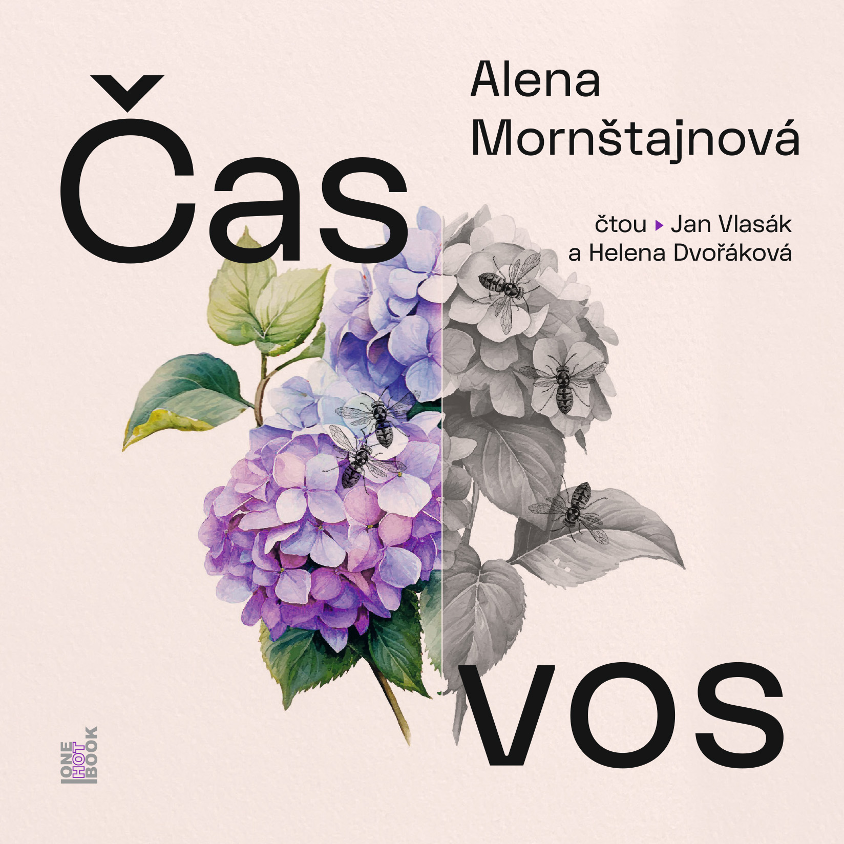 Čas vos