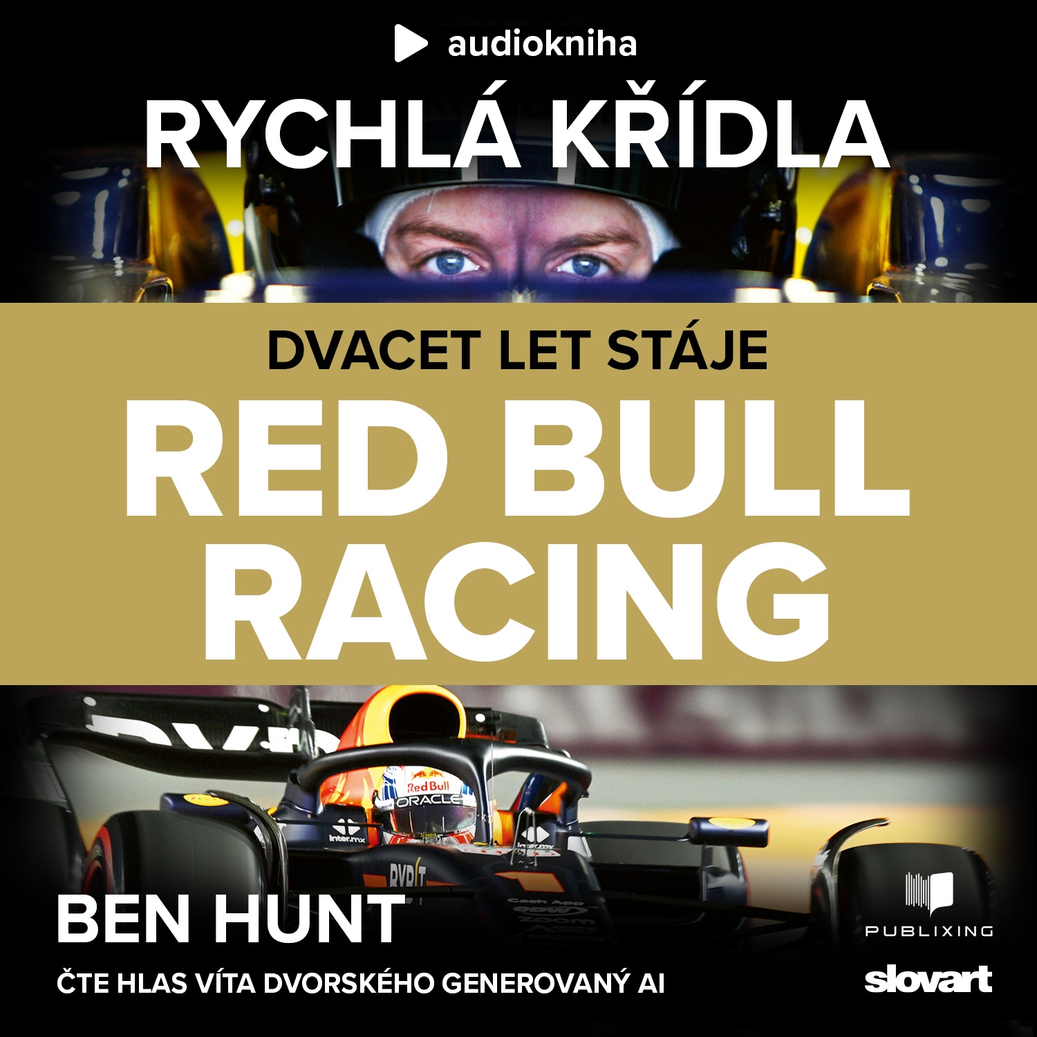 Rychlá křídla