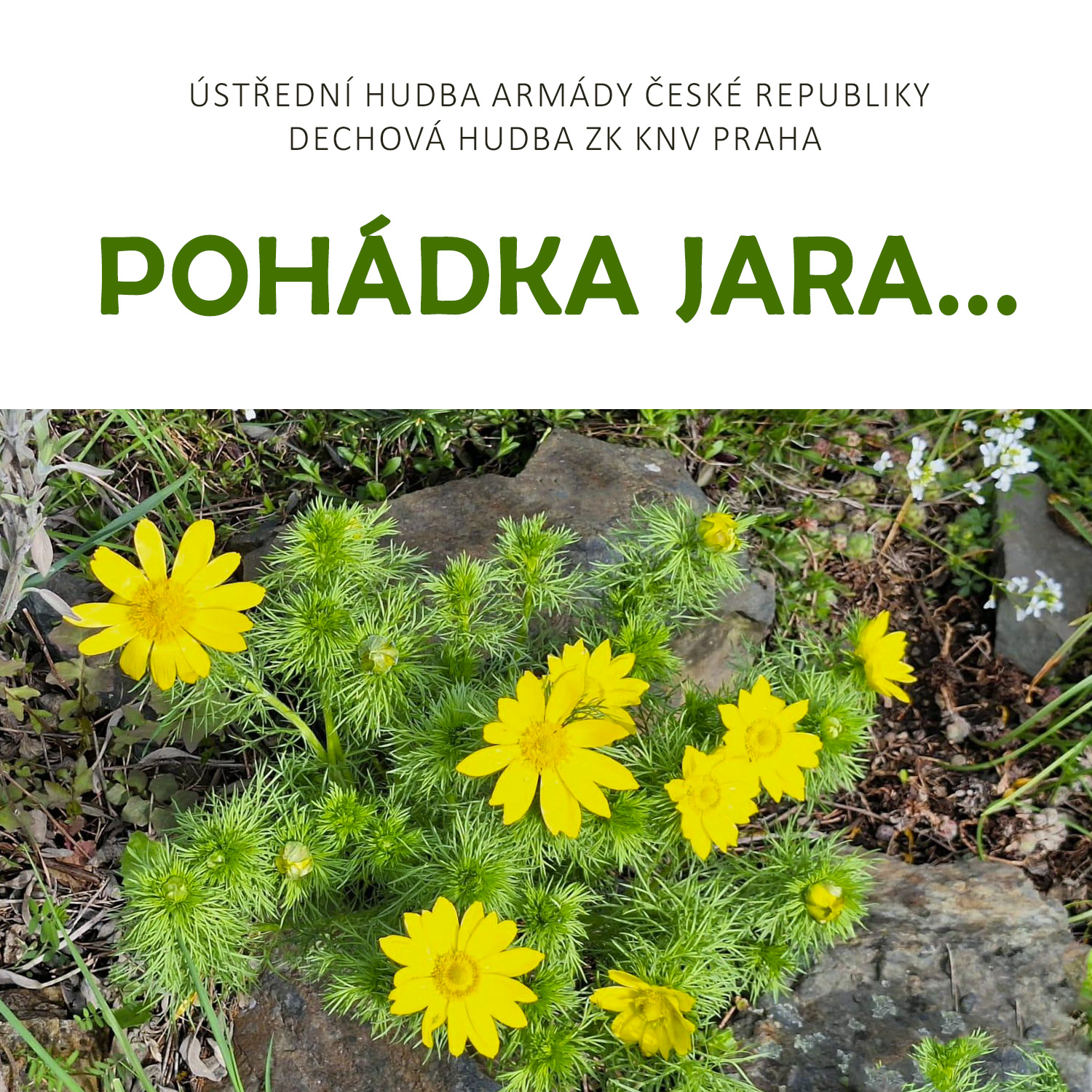 Pohádka jara...