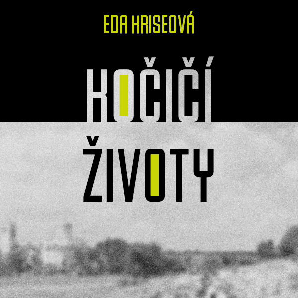 Kočičí životy