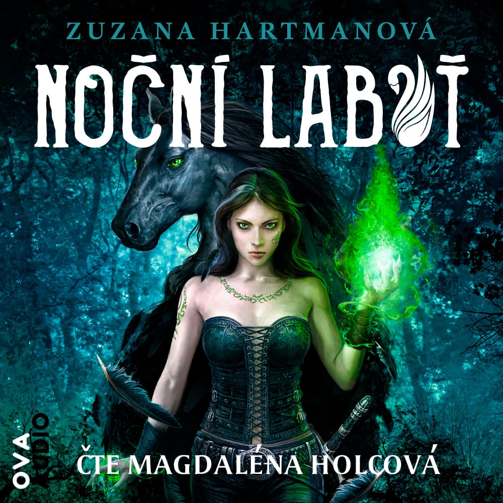 Noční labuť