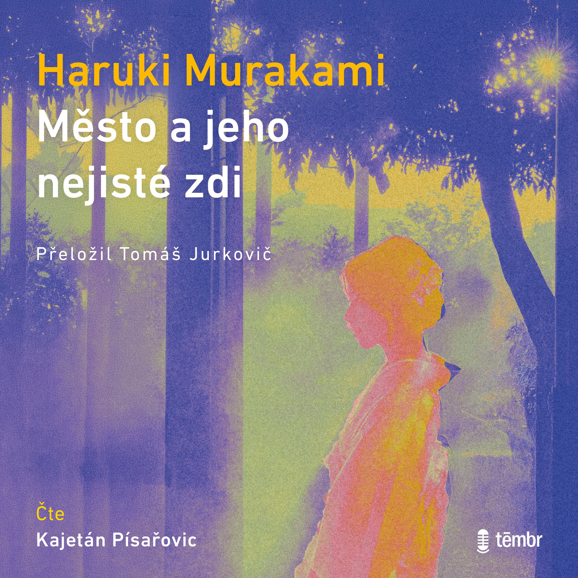 Město a jeho nejisté zdi