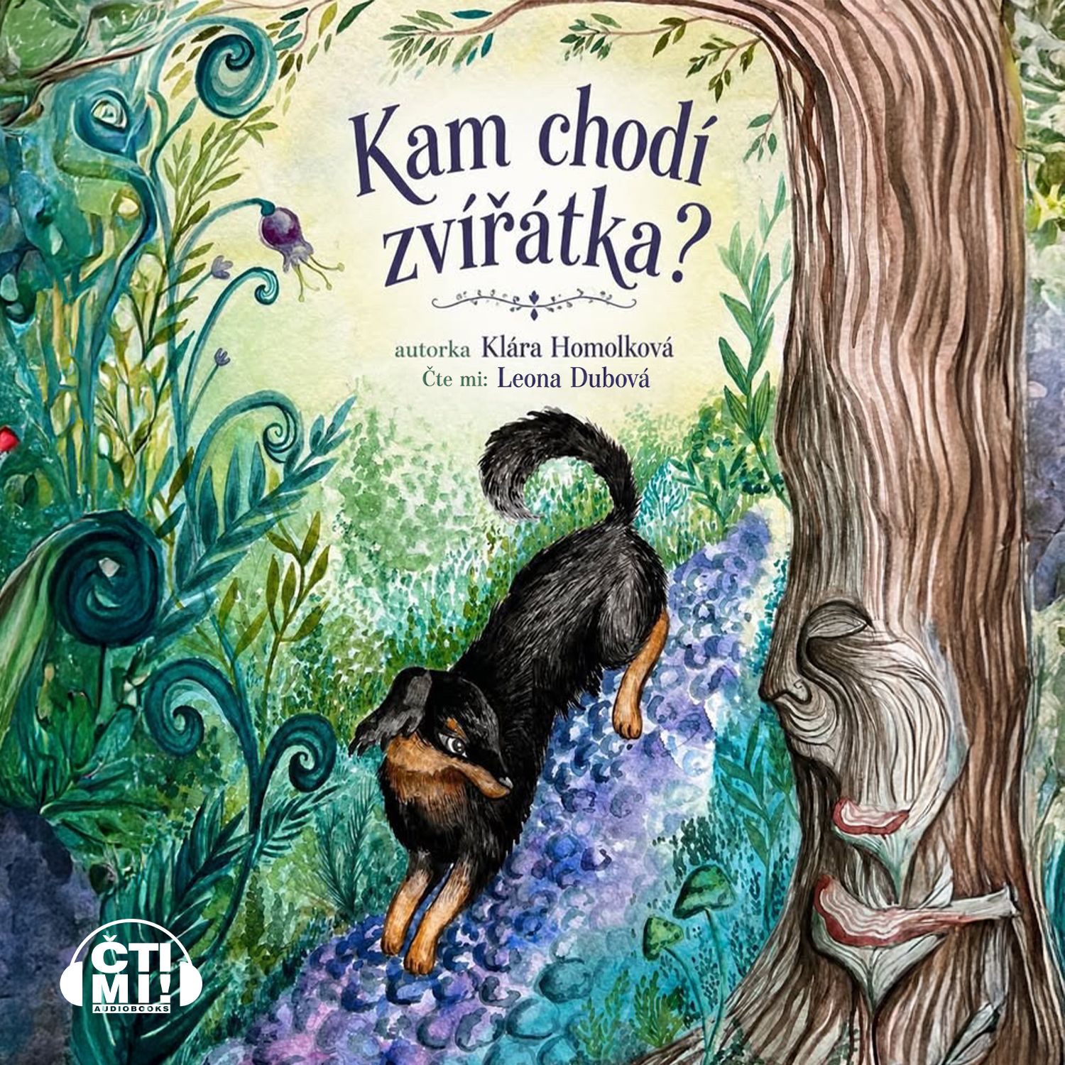 Kam chodí zvířátka